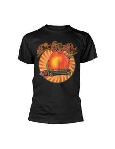 Tricou Unisex The Allman Brothers Band Peach Lorry