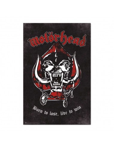 Poster Motorhead Born To Lose, Live To Win