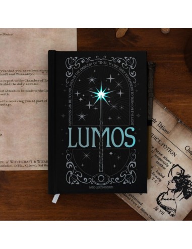 Agendă A5 Premium Harry Potter Lumos Maxima