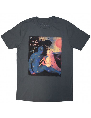 Tricou ex Tour Oficial David Gilmour Luck & Strange London 2