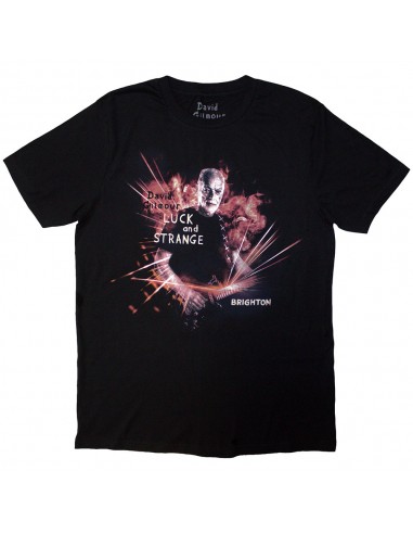 Tricou ex Tour Oficial David Gilmour Luck & Strange Brighton