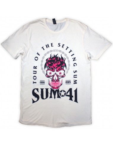 Tricou ex Tour Oficial Sum 41 Tour '24 Pink Skull